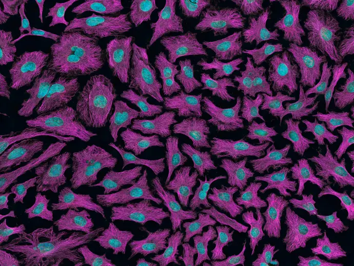 Understanding Cancer
